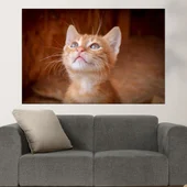Малко оренжево коте  - картина пано за стена - Thumbnail 1