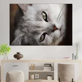 Сива котка в близък план - картина пано за стена - Thumbnail 1