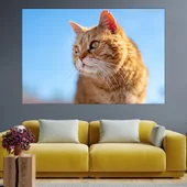 Потрет на рижа котка - картина пано за стена - Thumbnail 1