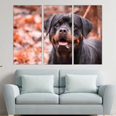 Портрет на малък ротвайлер - картина пано за стена - Thumbnail 2