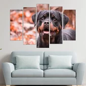 Портрет на малък ротвайлер - картина пано за стена - Thumbnail 3