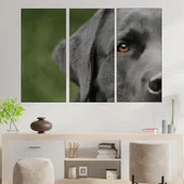 Потрет на куче лабрадор - картина пано за стена - Thumbnail 2