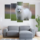 Малък бял японски шпиц - картина пано за стена - Thumbnail 3