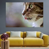 Котешка глава в близък план - картина пано за стена - Thumbnail 1