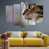Котешка глава в близък план - картина пано за стена - Thumbnail 3