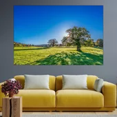 Вековно дърво в поляна - картина пано за стена - Thumbnail 1