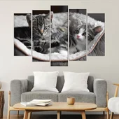 Малки котета в панер  - картина пано за стена - Thumbnail 3