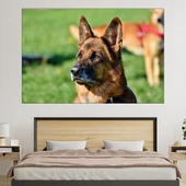 Портрет на немска овчарка  - картина пано за стена - Thumbnail 1