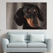 Дакел - портрет в близък план - картина пано за стена - Thumbnail 1