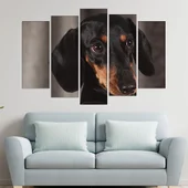 Дакел - портрет в близък план - картина пано за стена - Thumbnail 3