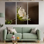 Сутрешна роса - картина пано за стена - Thumbnail 2