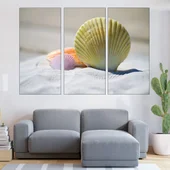 Черупки от миди в пясъка - картина пано за стена - Thumbnail 2
