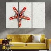 Морска звезда на пясъка - картина пано за стена - Thumbnail 2