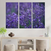 Цъфнала в полето лавандула - картина пано за стена - Thumbnail 2