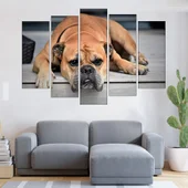Легнал булдог - картина пано за стена - Thumbnail 3