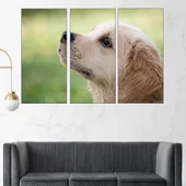 Малък голдън ретривър - картина пано за стена - Thumbnail 2