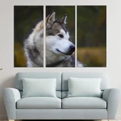 Портрет на Аляски маламут - картина пано за стена - Thumbnail 2