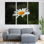 Цъфнала бяла маргаритка - картина пано за стена - Thumbnail 2