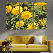 Цъфнала жълта Астра - картина пано за стена - Thumbnail 2