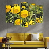 Цъфнала жълта Астра - картина пано за стена - Thumbnail 3