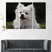 Потрет на пухкав шпиц - картина пано за стена - Thumbnail 2