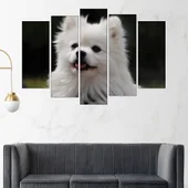 Потрет на пухкав шпиц - картина пано за стена - Thumbnail 3