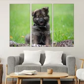 Малко кученце на поляната - картина пано за стена - Thumbnail 2