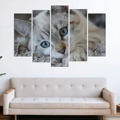 Портрет на малко коте - картина пано за стена - Thumbnail 3