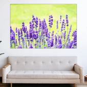 Цъфнала лавандула в полето - картина пано за стена - Thumbnail 1