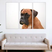 Kуче боксер - потрет - картина пано за стена - Thumbnail 2