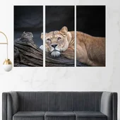 Легнала върху дърво лъвица  - картина пано за стена - Thumbnail 2