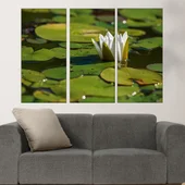 Бяла водна лилия във водата - картина пано за стена - Thumbnail 2